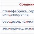 Сложные слова с соединительной гласной