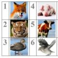 Trò chơi ô chữ tiếng Anh cho trẻ em “động vật trong sở thú”