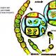 تكوين الخلايا الجرثومية والتكاثر الجنسي في النباتات