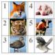 Crossword puzzle in English for children “animals in the zoo”