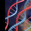Inimese DNA kõigi 12 heeliksi aktiveerimine