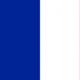 Prantsusmaa asutaja.  Prantsuse põhiseadus.  Energeetika ja kaevandamine