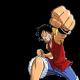 One Piece: Heldenbiografie